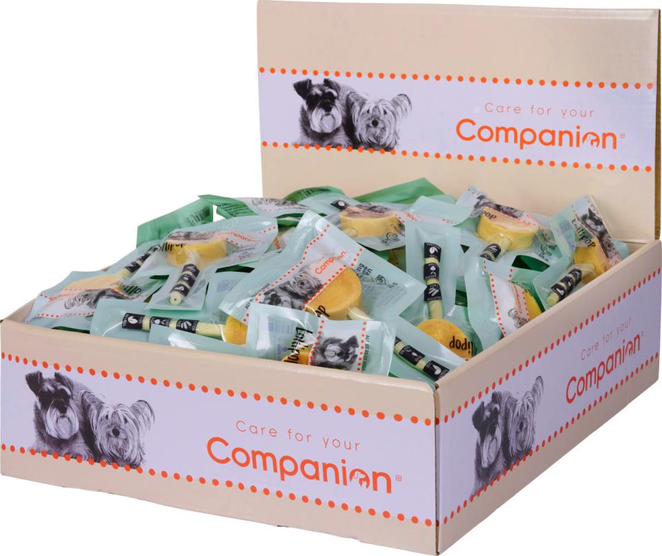 Companion Lollipop Hähnchen