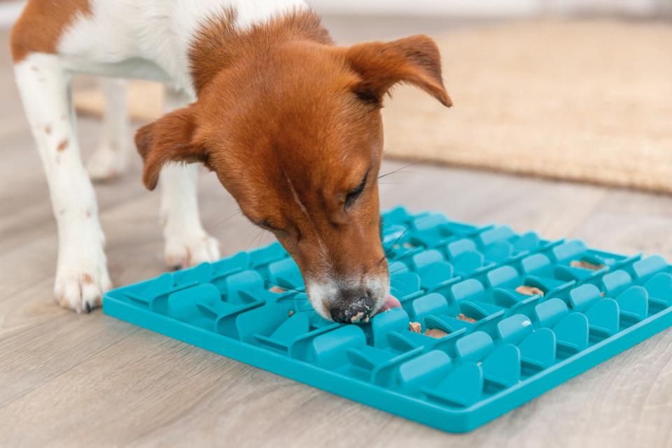 Trixie Lick'n'Snack måtte