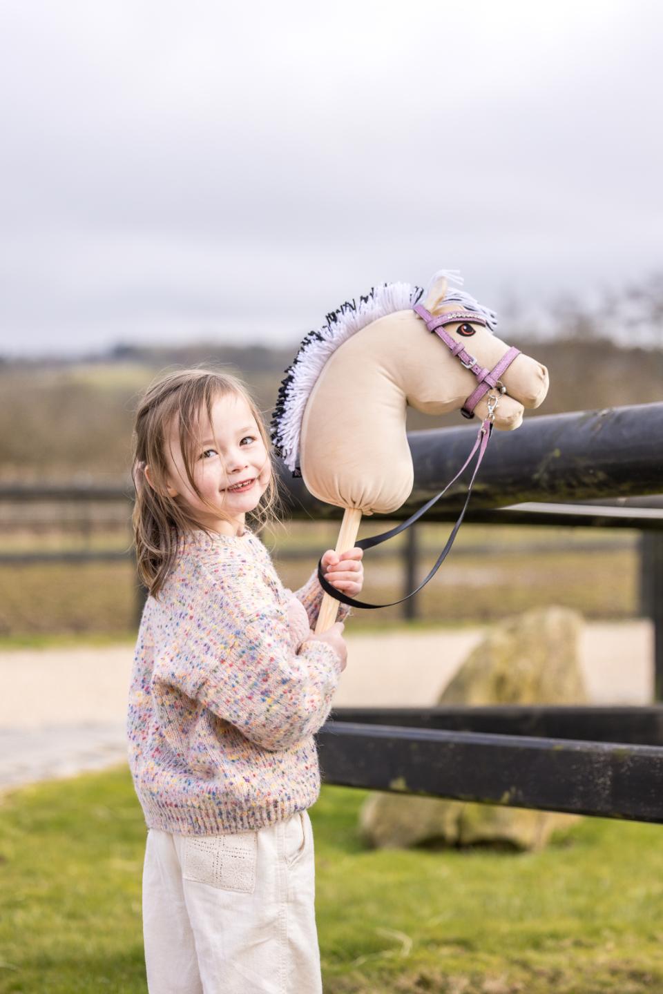 My Hobby Horse Käpphäst Fjord