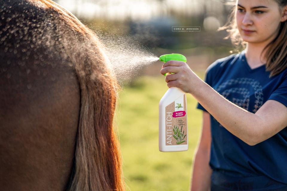 Bense & Eicke Antiklåda