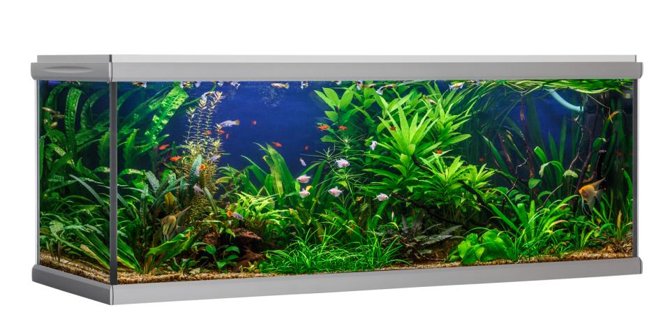 AkvaStabil MOVE aquarium - 576 liters