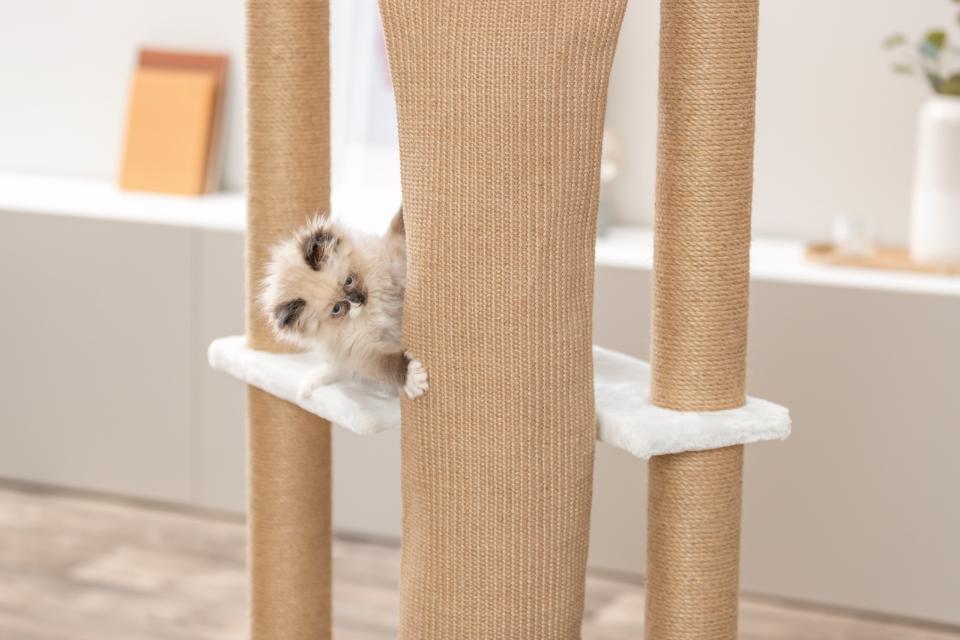 Trixie Cat Tree Active