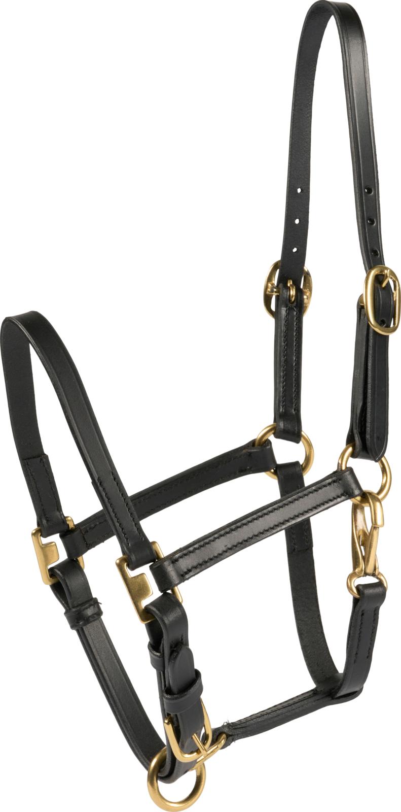 HorseGuard Cheval Fohlenhalfter