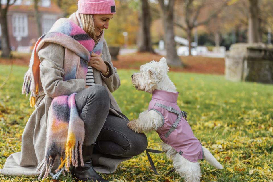 Trixie Pontis rain dog coat with harness