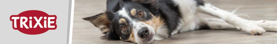 Magnetisk display strip, dog