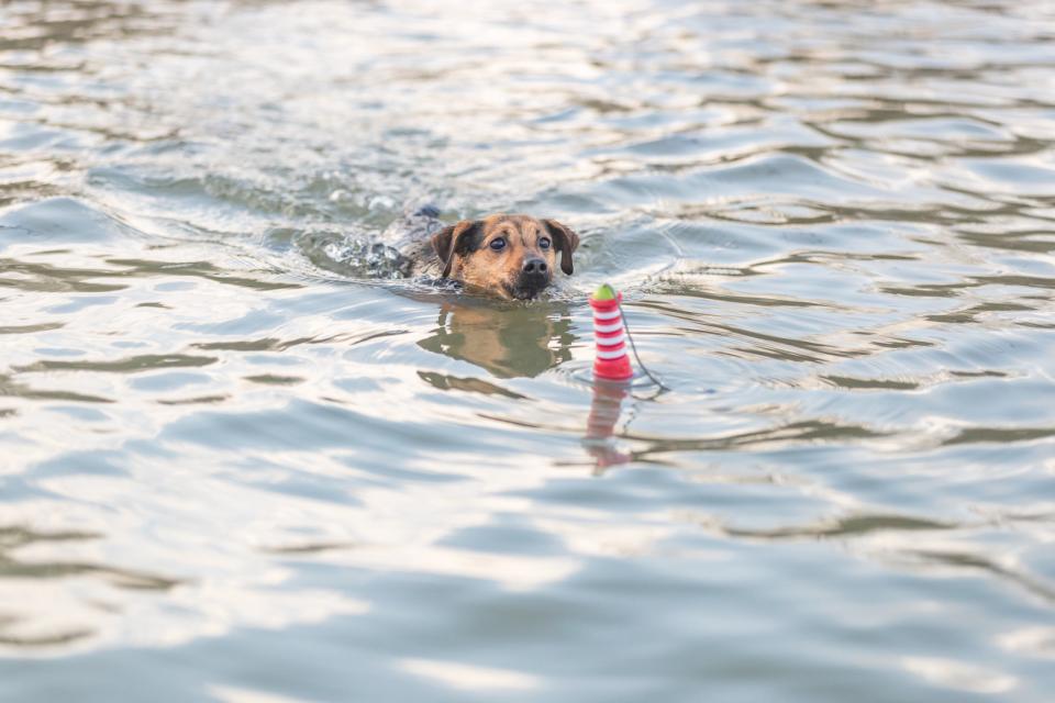 Trixie Aqua legetøj fyrtårn i TPR