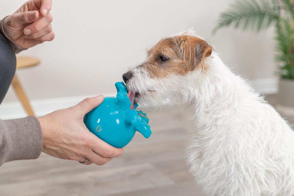 Trixie Snack-Octopus