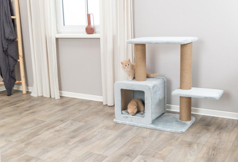 Trixie Elena kattetræ