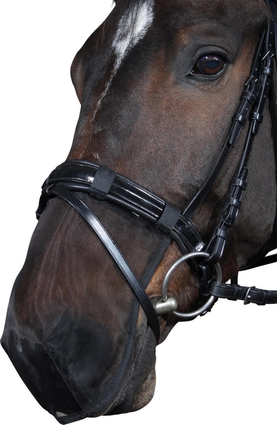 HorseGuard Muzzle protector