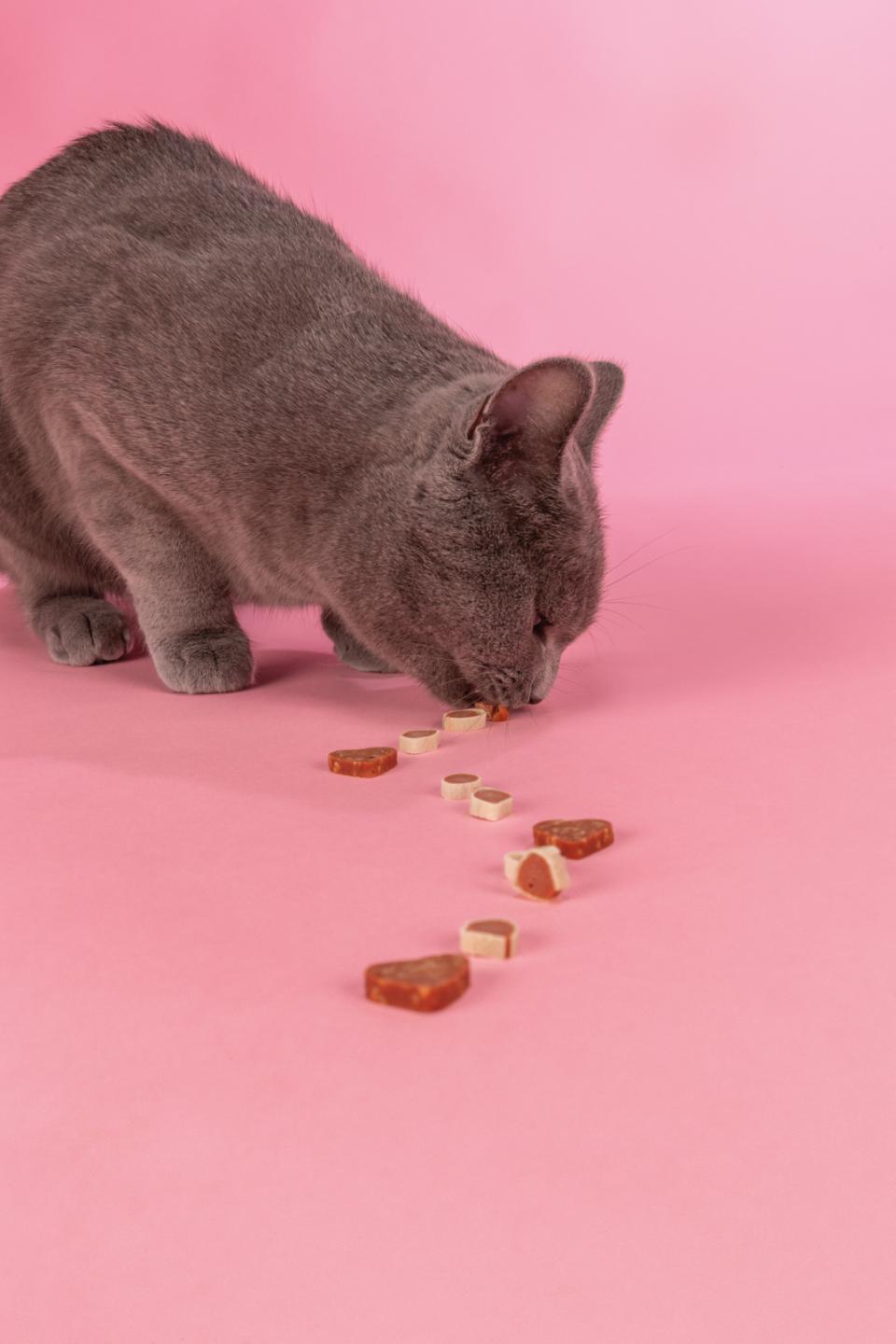 Jolly Paw Chicken Snack (chicken and pollock)
