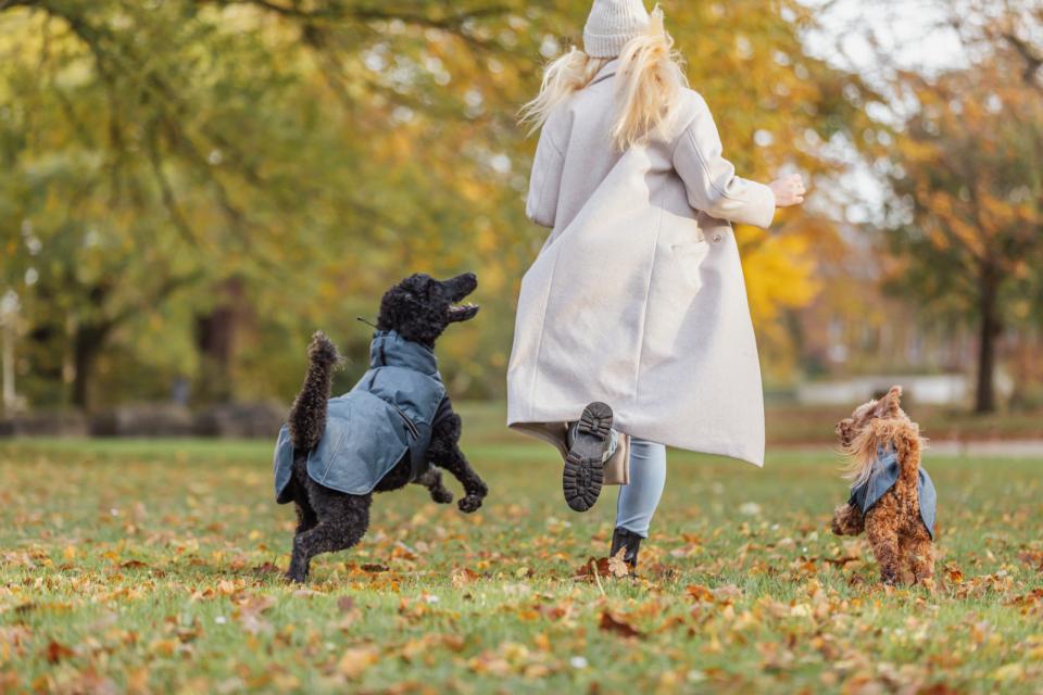 Trixie Riom Wintermantel für Hunde