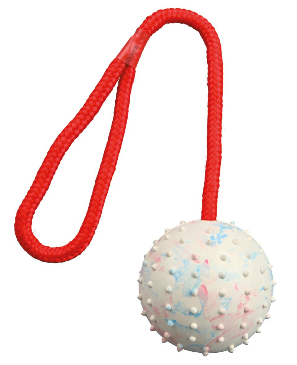 Ball on a Rope