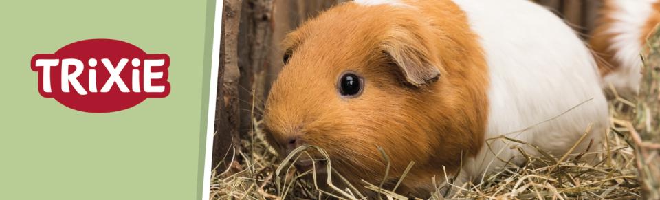 Magnet skilt t. Tego reol gnaver