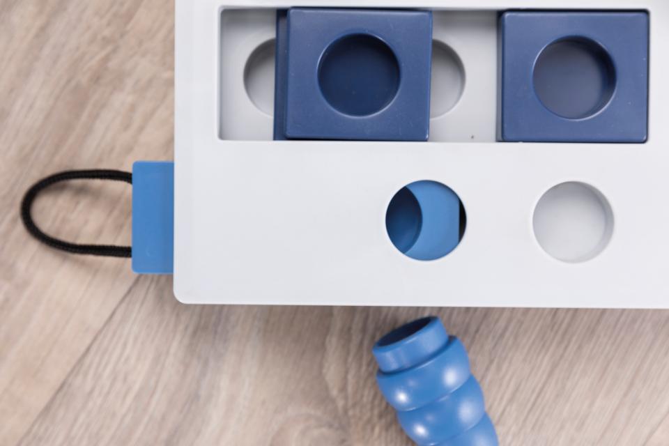 Mini Mover Aktivitetsleksak