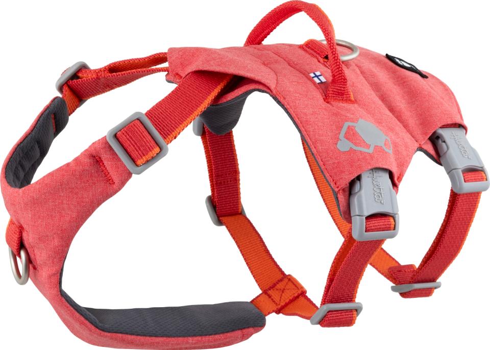 Hurtta Safeguard ECO harness