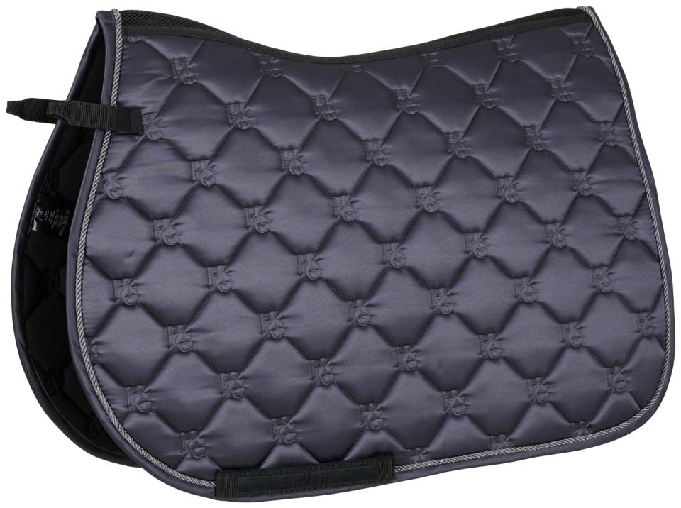 Horse Guard Shawn Schabracke