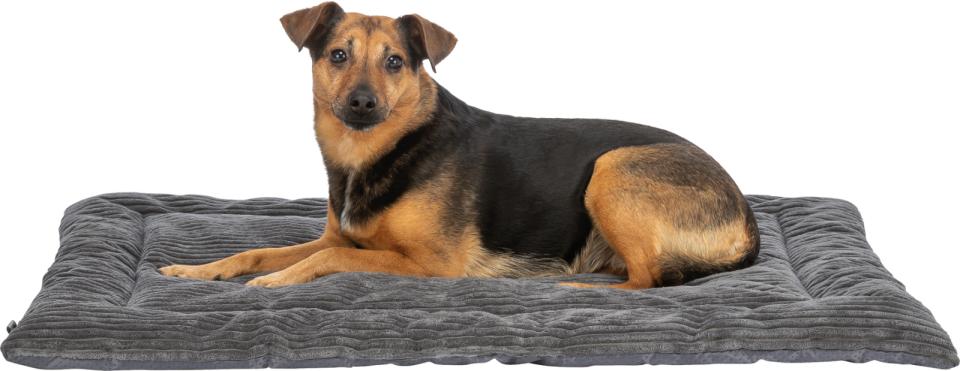 Trixie Jonna lying mat