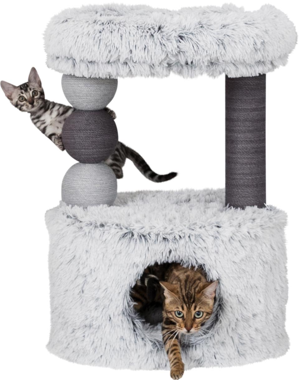 Harvey Scratching Post