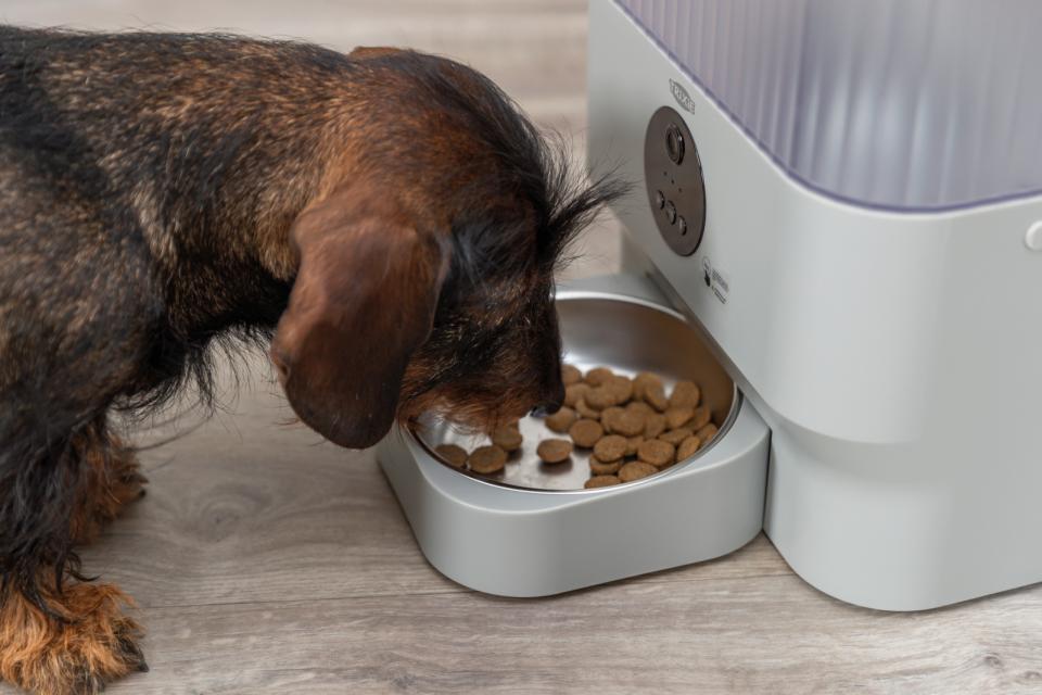 Trixie automatic feeder TX-C Smart