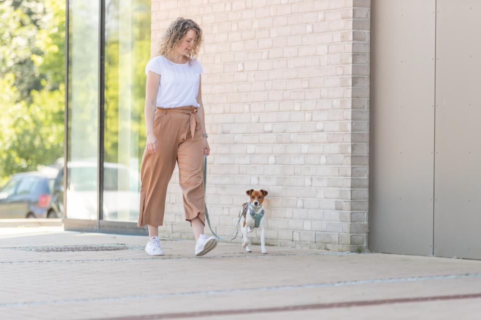 Trixie Premium justerbar line