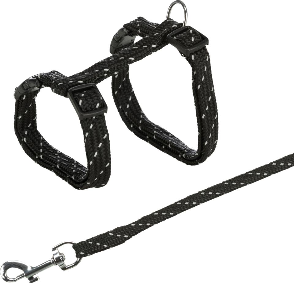 Harness with Leash, Reflecting