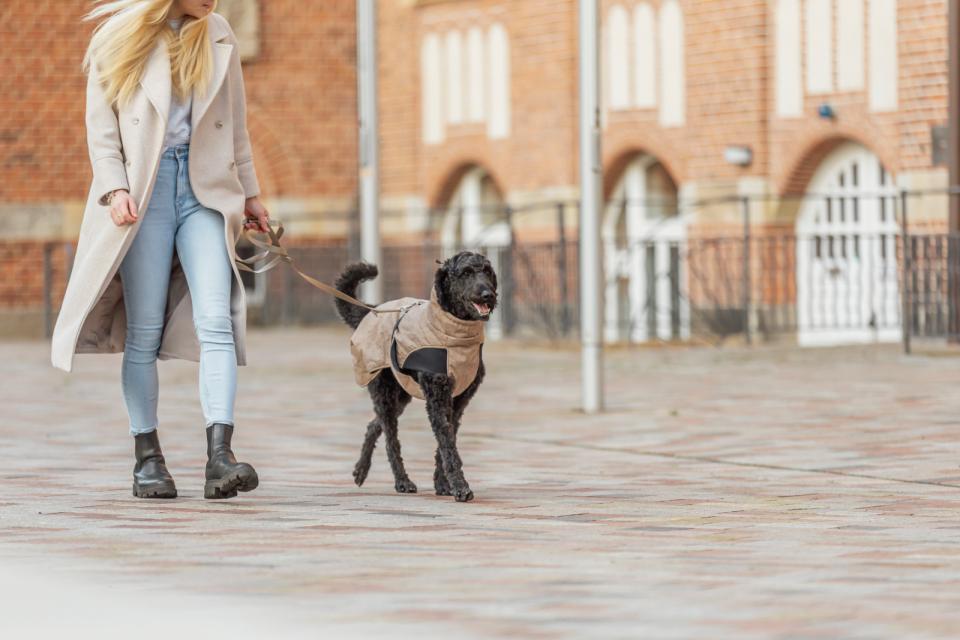 Trixie Riom Wintermantel für Hunde