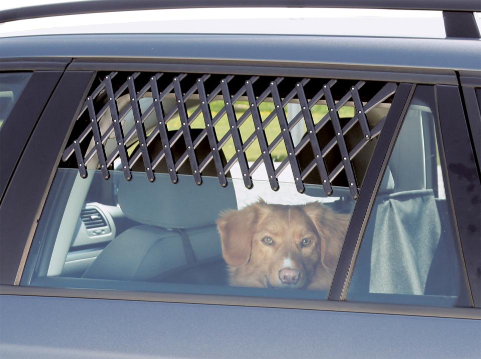 Ventilation lattice for cars