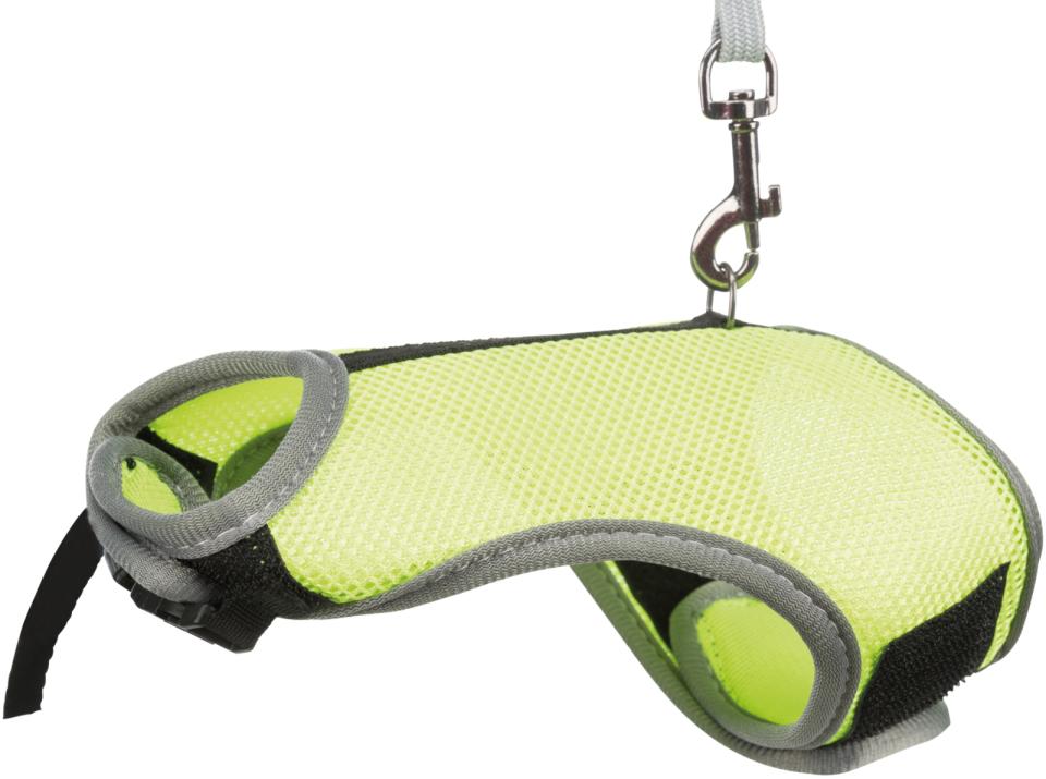 Soft Harness with Leash