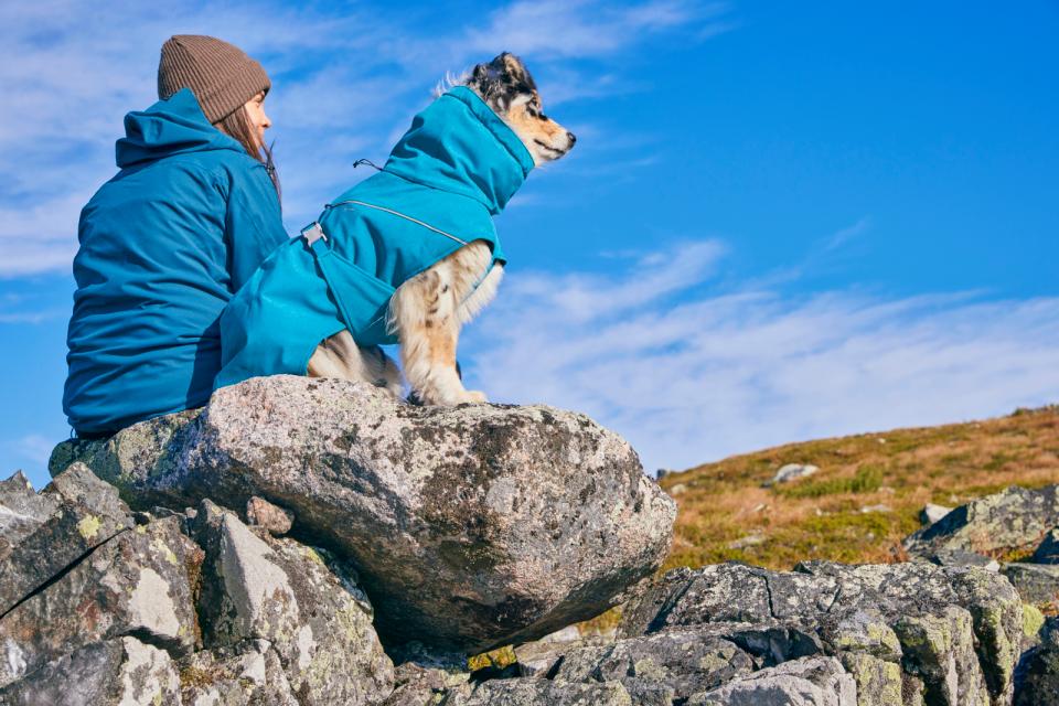 Hurtta Expedition Parka II dog rug