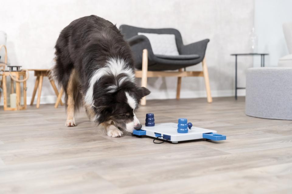 Move2Win Aktivitetsleksak