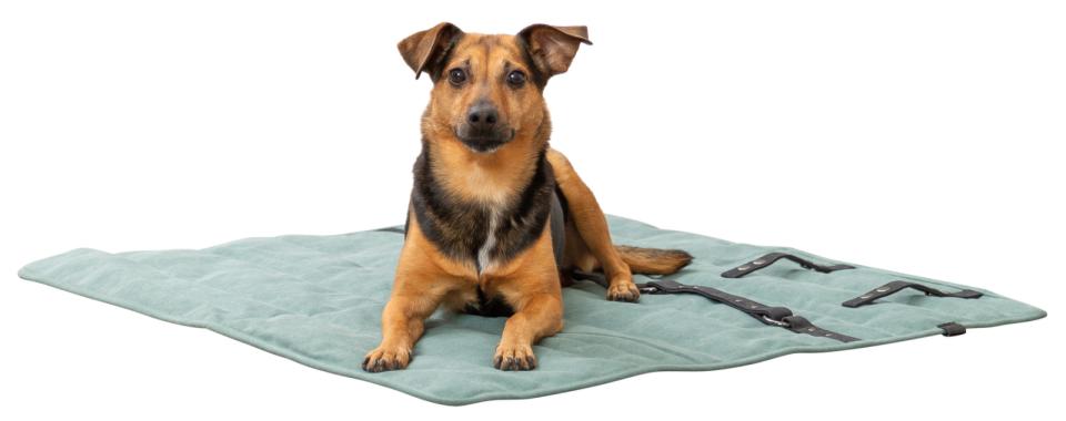 Trixie Travel Blanket CityStyle