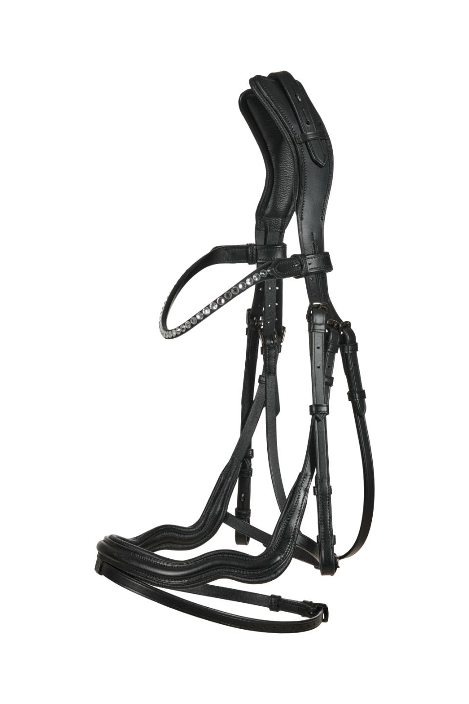 CATAGO Sienna jumping bridle with flash