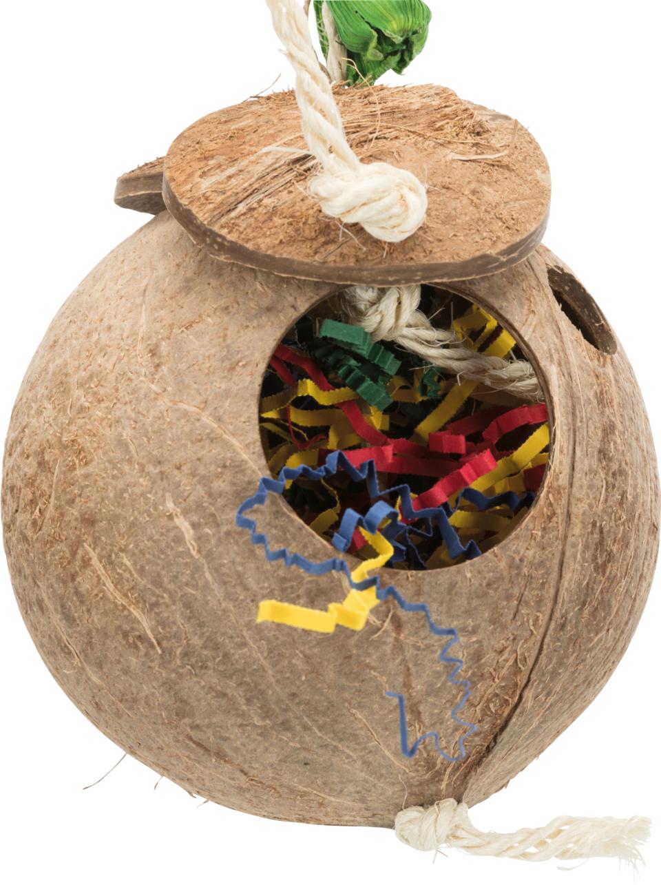 Coconut on a Sisal Rope