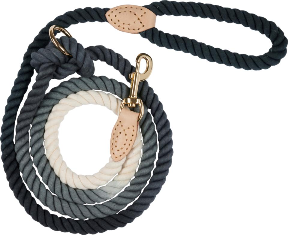 Companion combi-rope leash
