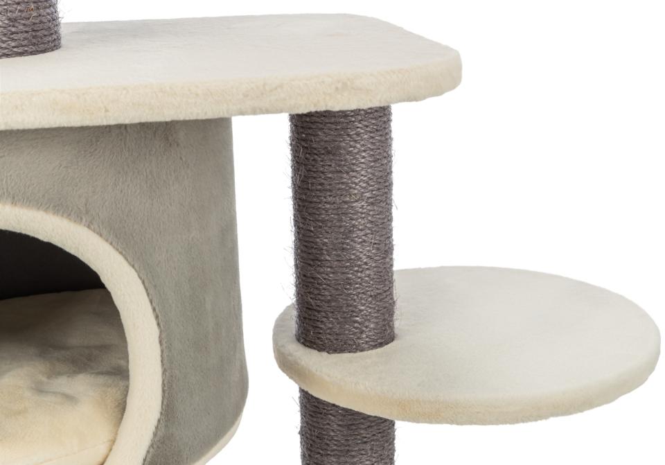 Trixie Marcello scratching tree