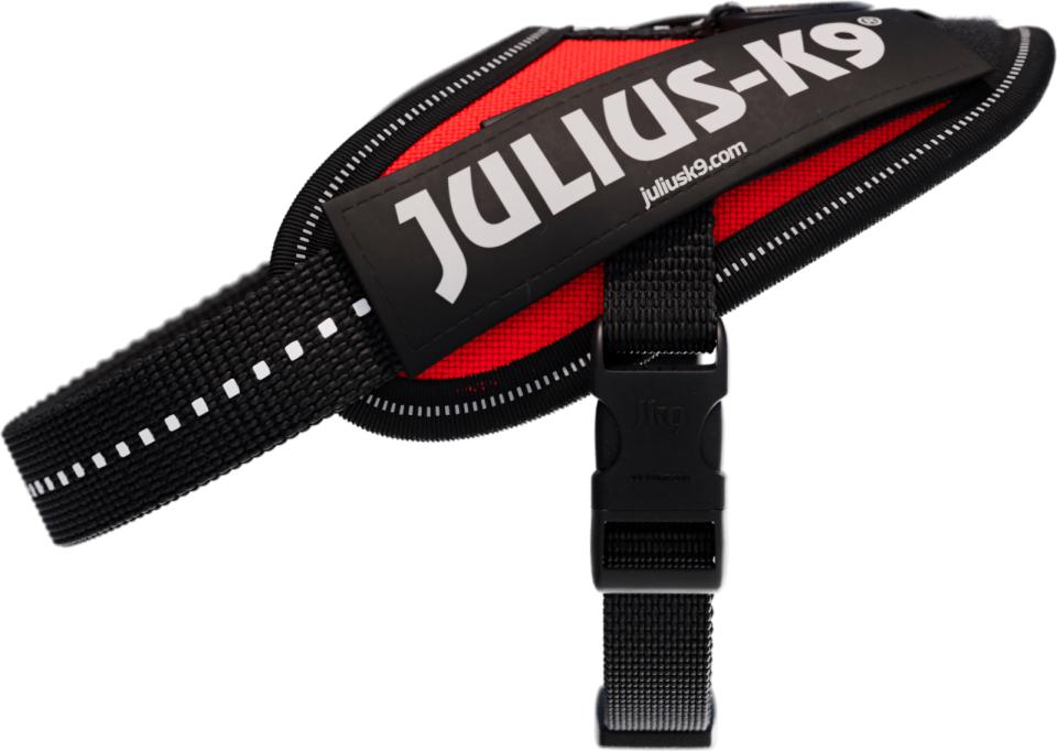 IDC harness, 29-36 cm