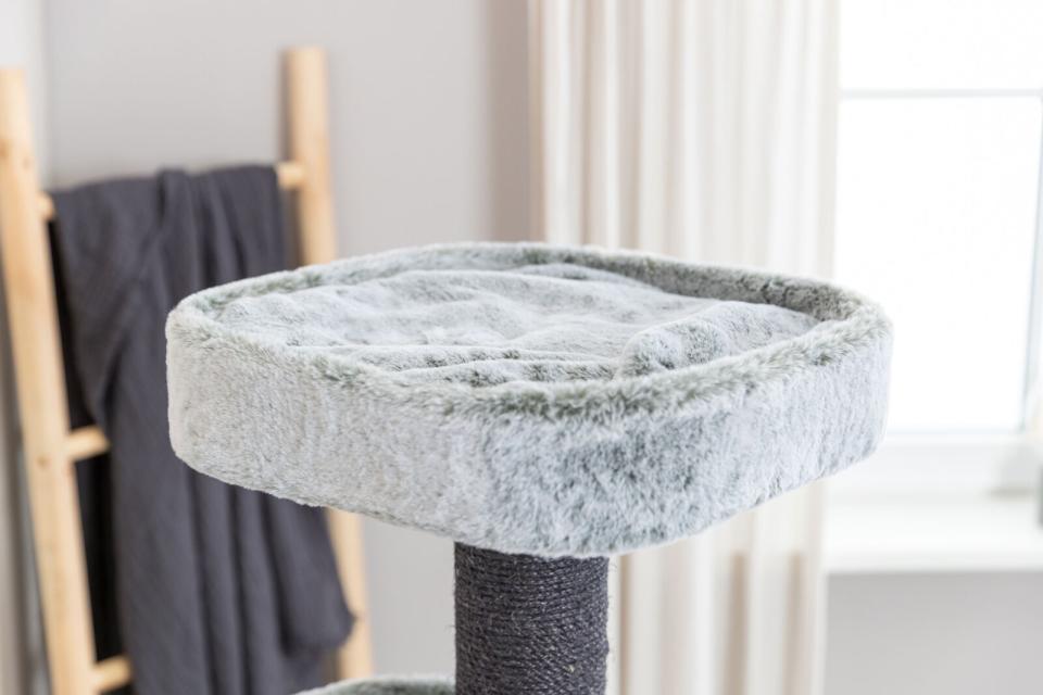 Trixie Miguel kradsetræ