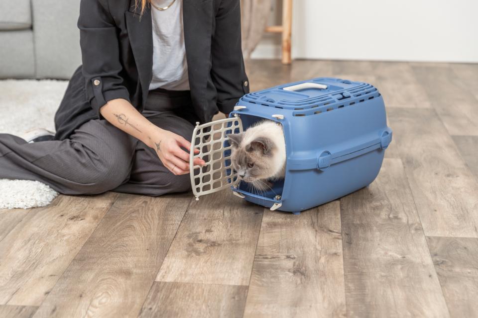 Trixie Transportkasse Relax 1