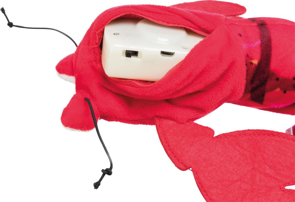 Wriggle shrimp, fabric, catnip