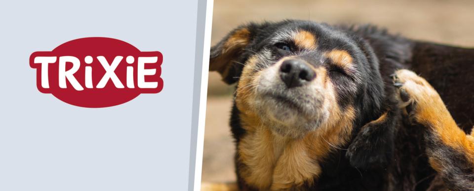 Magnet skilt t. Tego reol anti parasit t