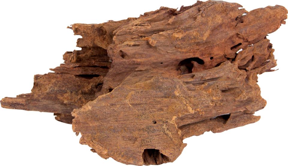 Mangrove trädrötter