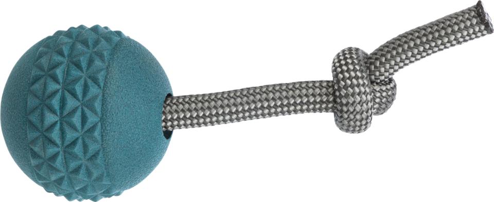 Jolly Paw Ball on rope