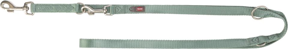 Premium adjustable leash