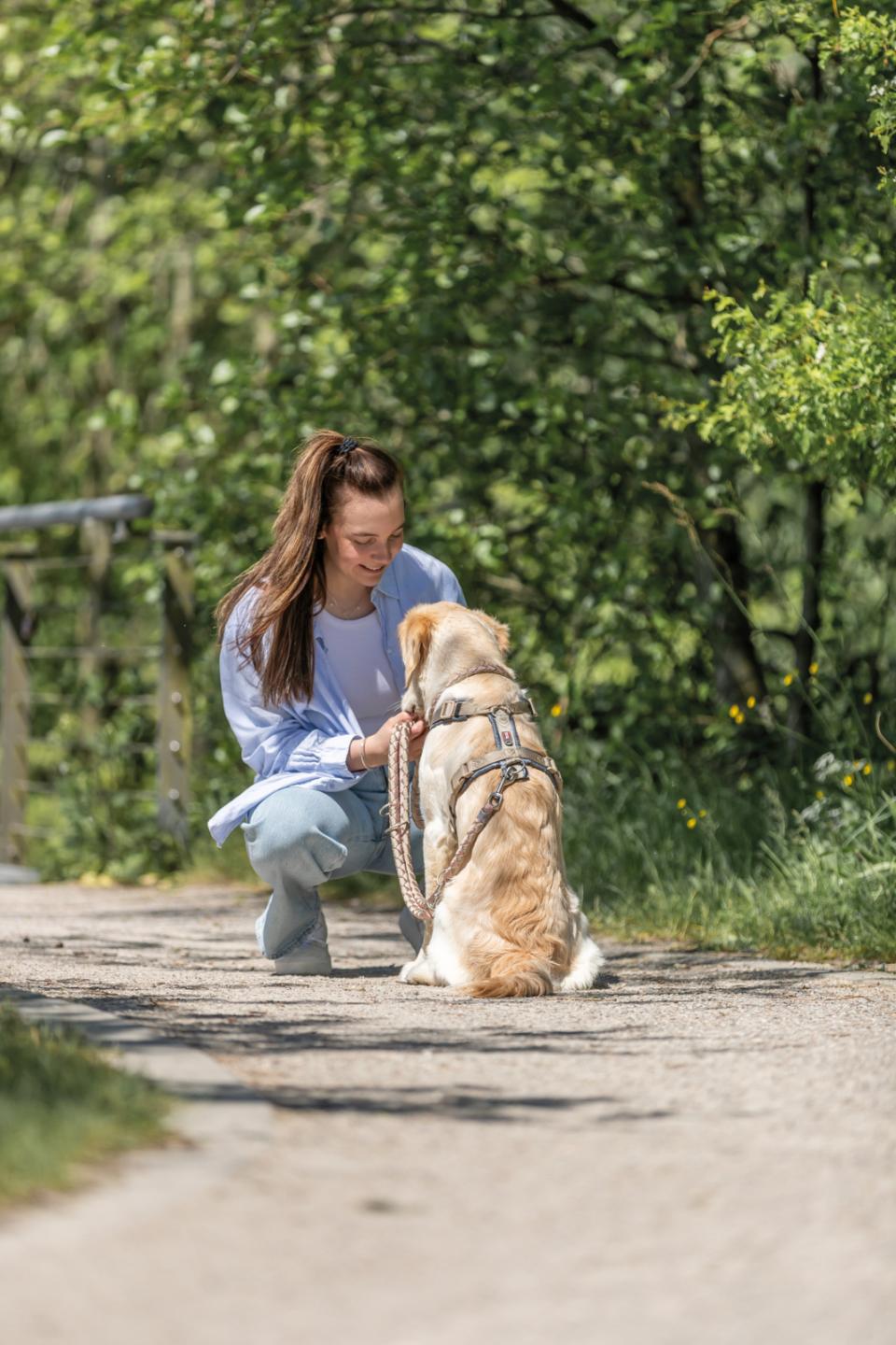 Trixie Premium trekking Sele