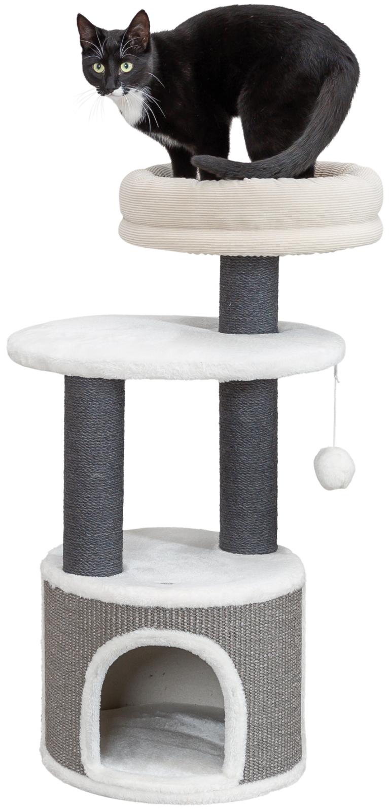 Trixie Marco scratching tree