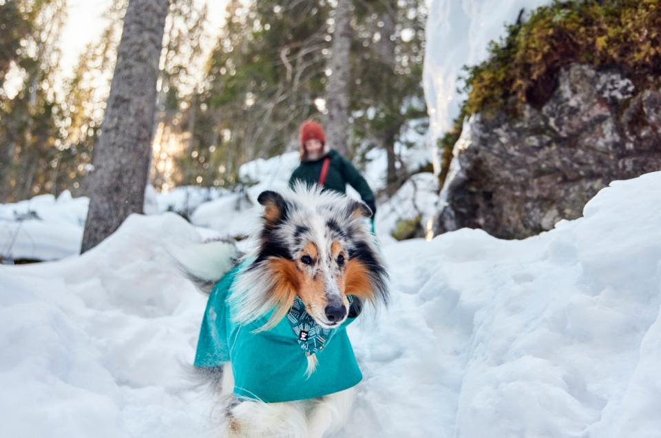 Hurtta Monsoon II ECO hundjacka