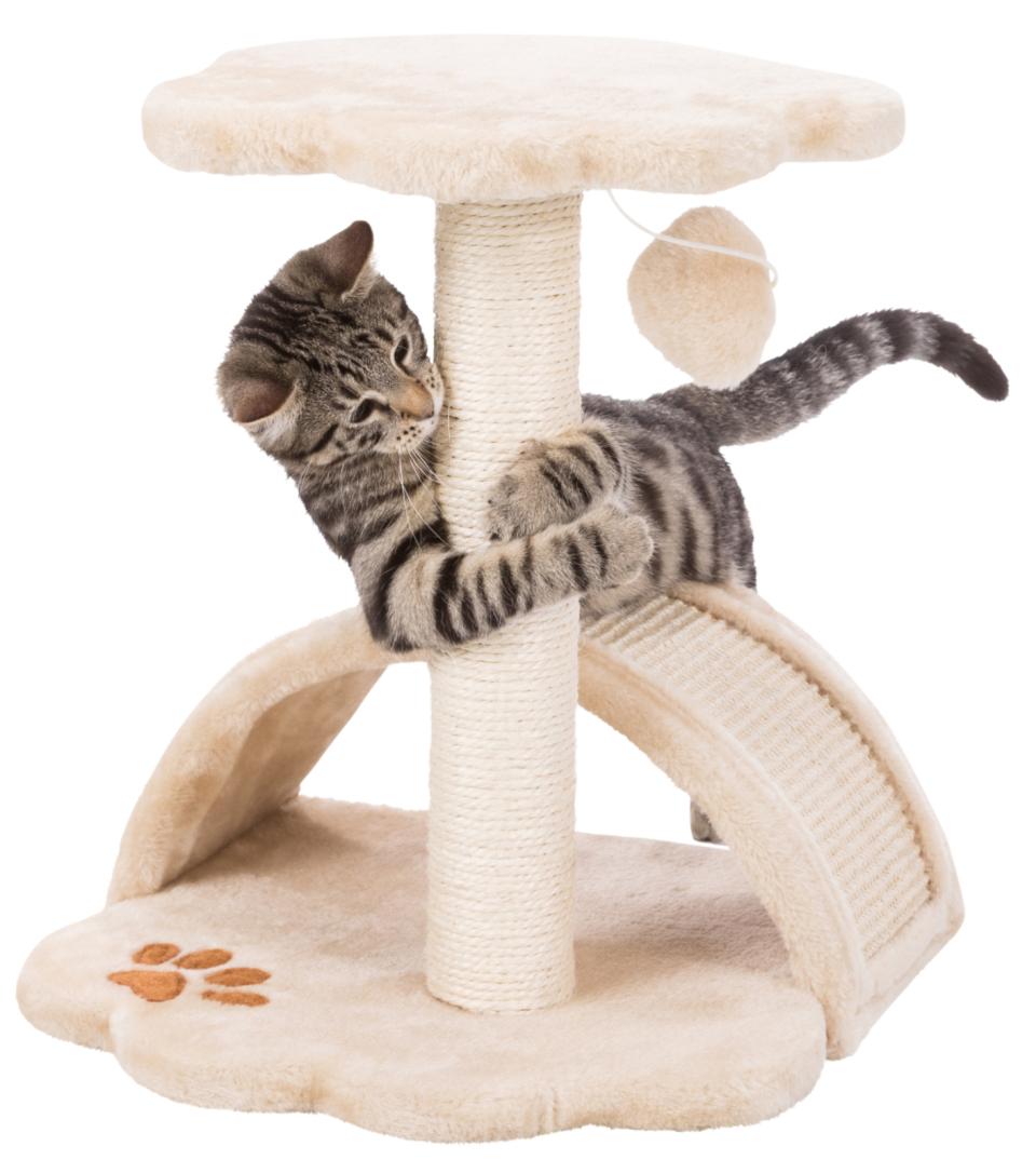 Junior Vitoria Scratching Post