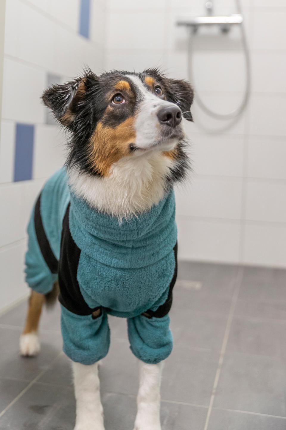 Trixie badekåbe til hund