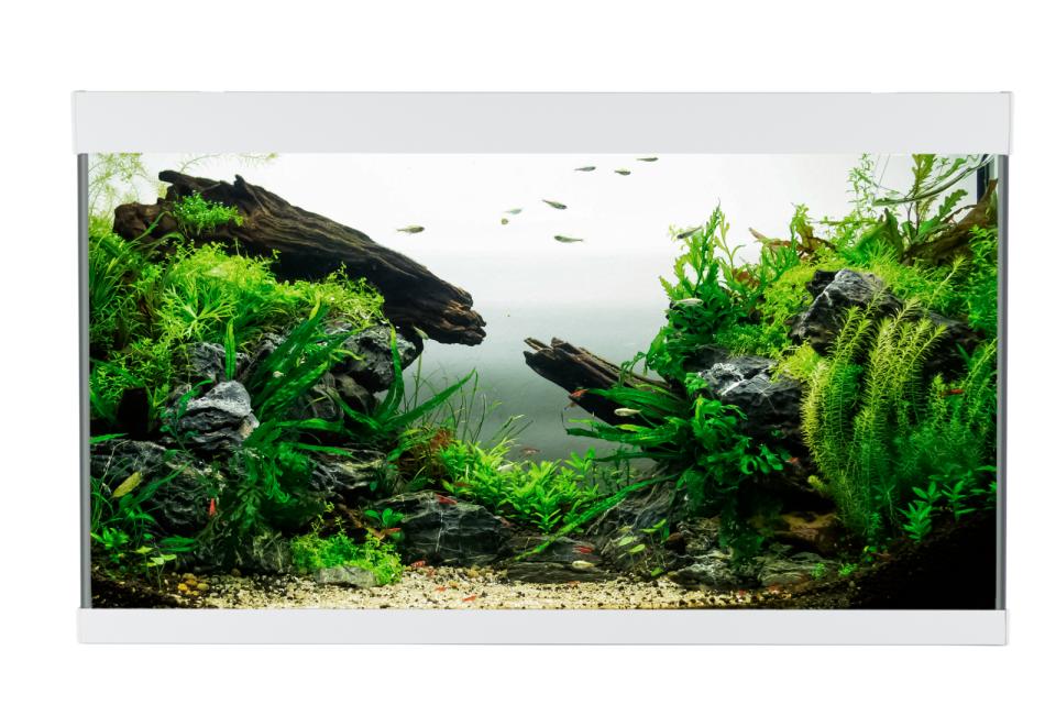 AkvaStabil ELEMENT Aquarium