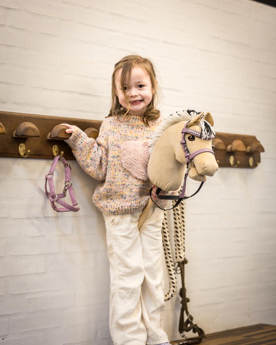 My Hobby Horse Käpphäst Fjord